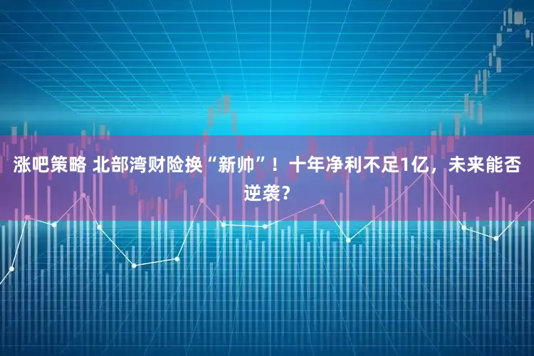 涨吧策略 北部湾财险换“新帅”！十年净利不足1亿，未来能否逆袭？